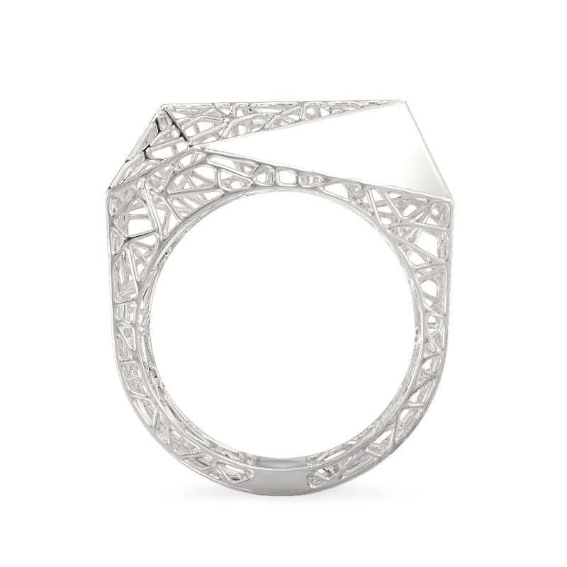 Charming Spider Web White Gold Ring3